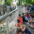 Windekind zomerklas zoo Antwerpen (166 van 262)