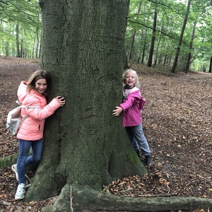3C - Wandeling thema Het bos