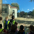 3C Bezoek Zoo (71)
