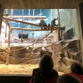 3C Bezoek Zoo (111)