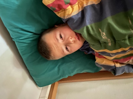IMG 0772