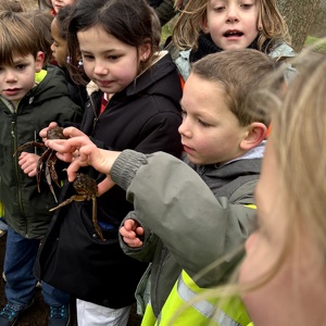 Krabbensleuf en watermolen van Grobbendonk