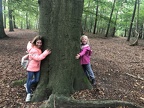 3C - Wandeling thema Het bos