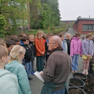 4B - Aardbeien planten